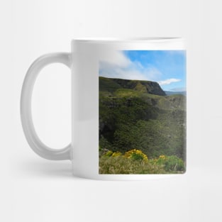 Channel Islands National Park Santa Cruz Island Mug